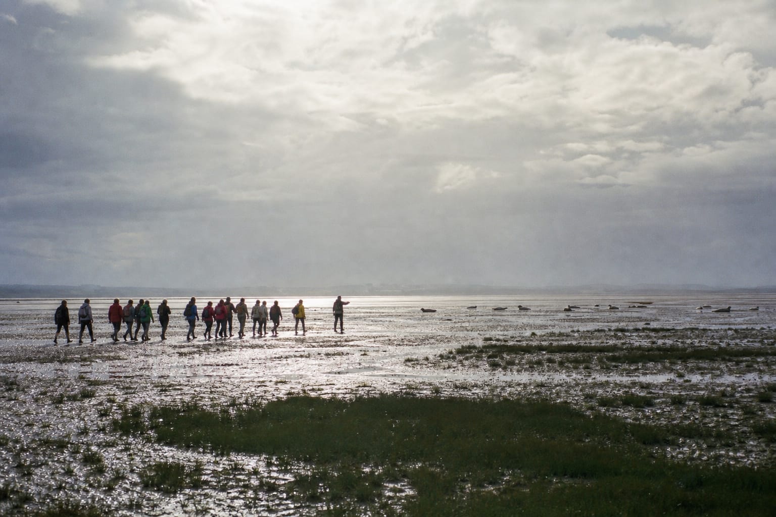 Vaste estran de la baie de Somme à marée basse sous un ciel immense