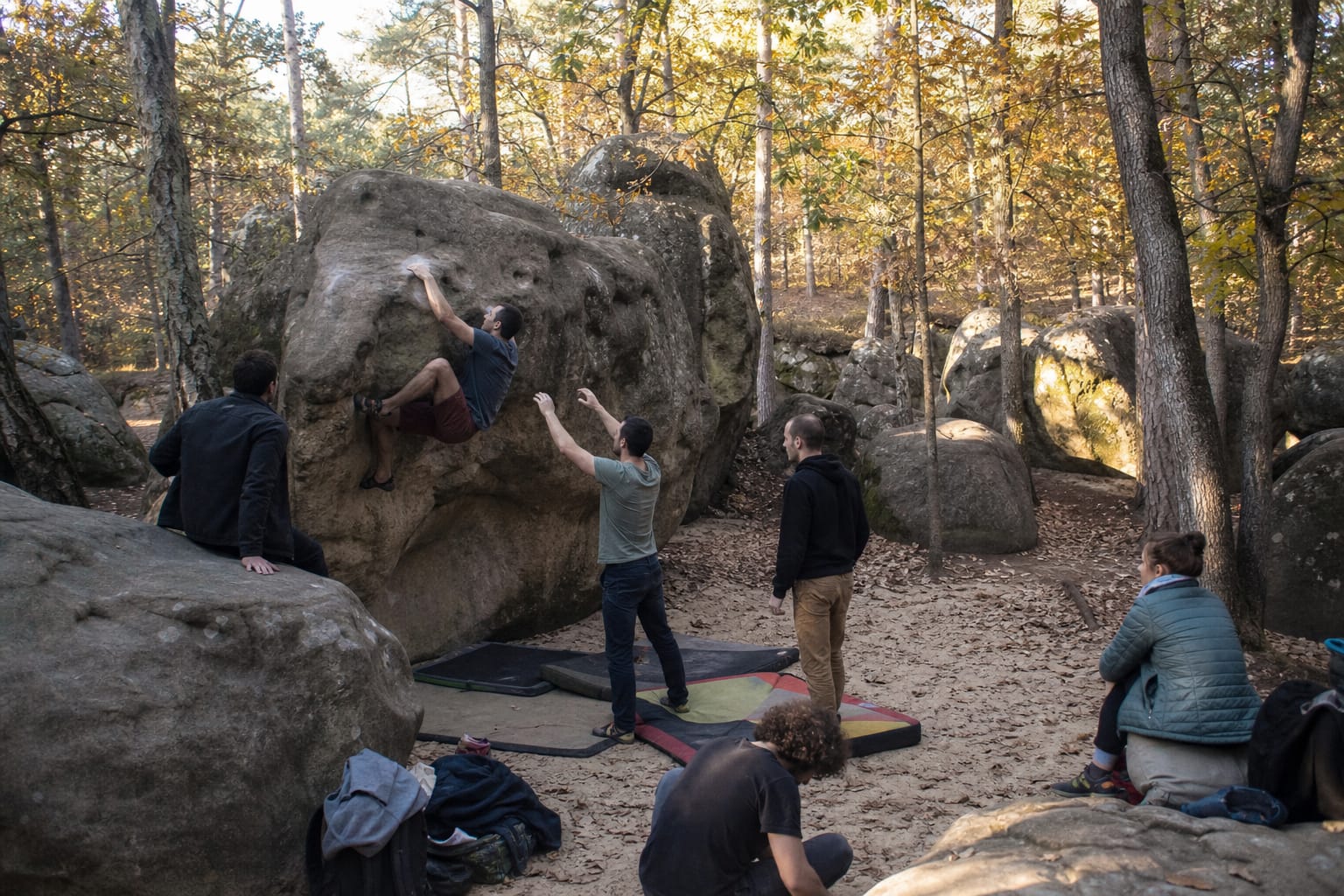Forêt de chênes et blocs de grès à Fontainebleau avec grimpeurs