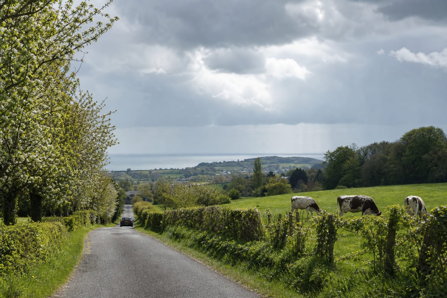 Route de campagne normande bordée de pommiers menant vers la mer sous un ciel de traîne